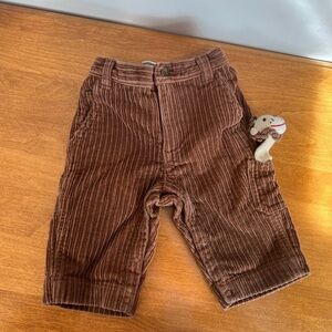 Gymboree Brown Corduroy Casual Bottoms with Pocket Lion NWOT 3-6M